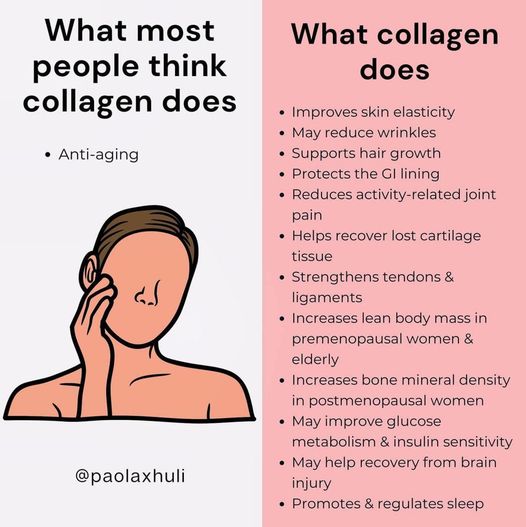 collagen what it does